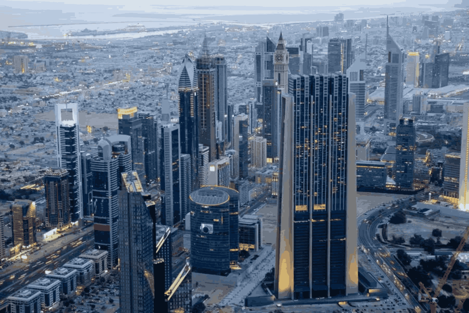 How to Locate Companies in Dubai by Category 2025